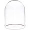 Plymor 4.5" x 6" Glass Display Dome Cloche with Silver Rim (Clear Glass Tray Base)